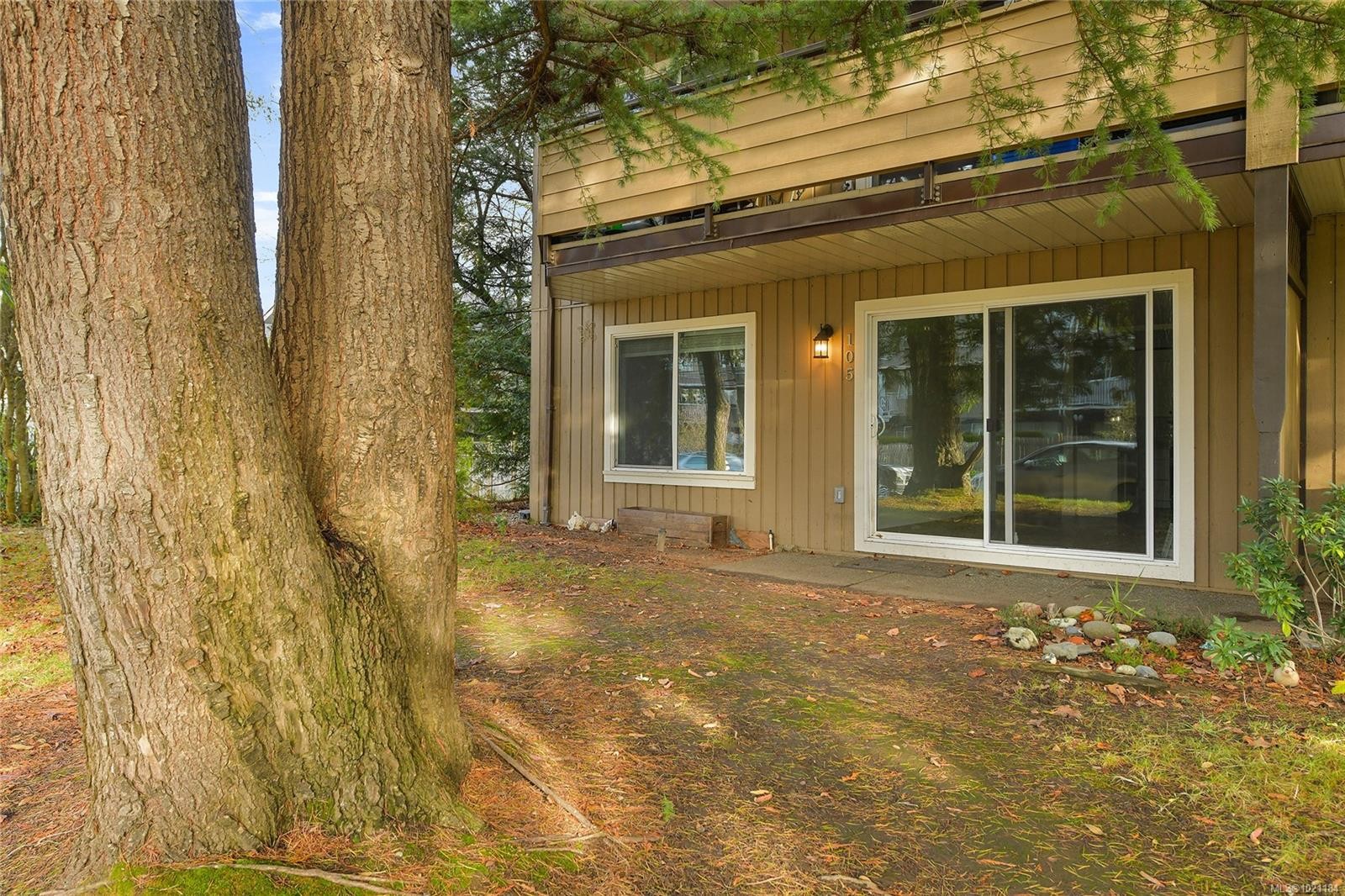 105-3215 Alder St, Saanich, BC - Outdoor
