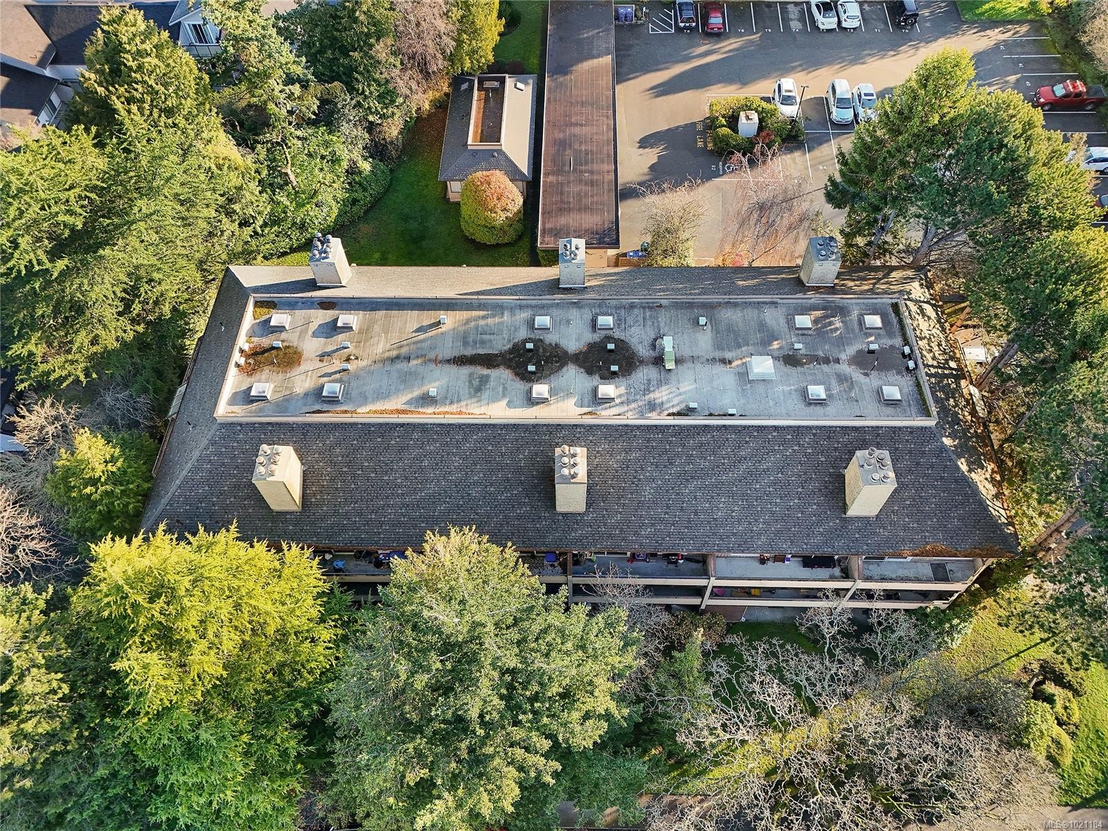 105-3215 Alder St, Saanich, BC - Outdoor With View