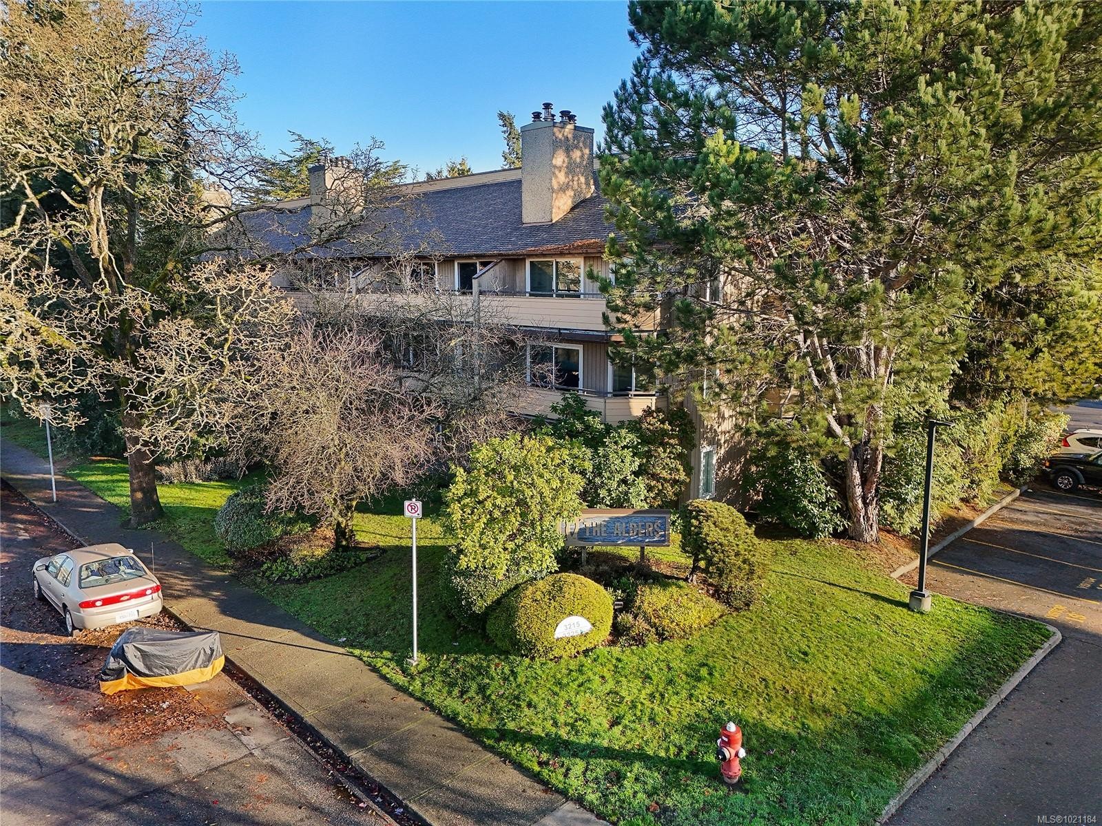105-3215 Alder St, Saanich, BC - Outdoor