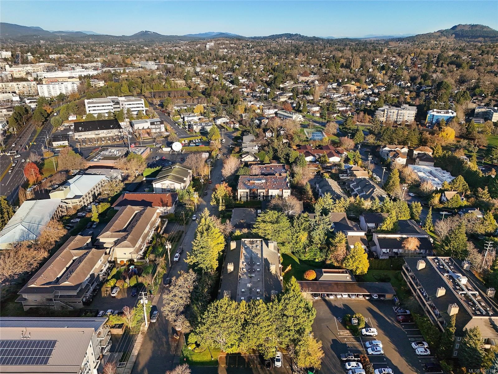 105-3215 Alder St, Saanich, BC - Outdoor With View