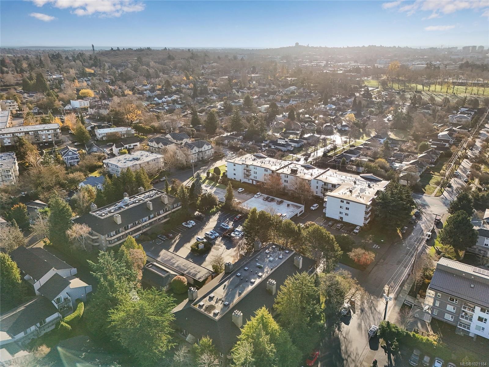 105-3215 Alder St, Saanich, BC - Outdoor With View