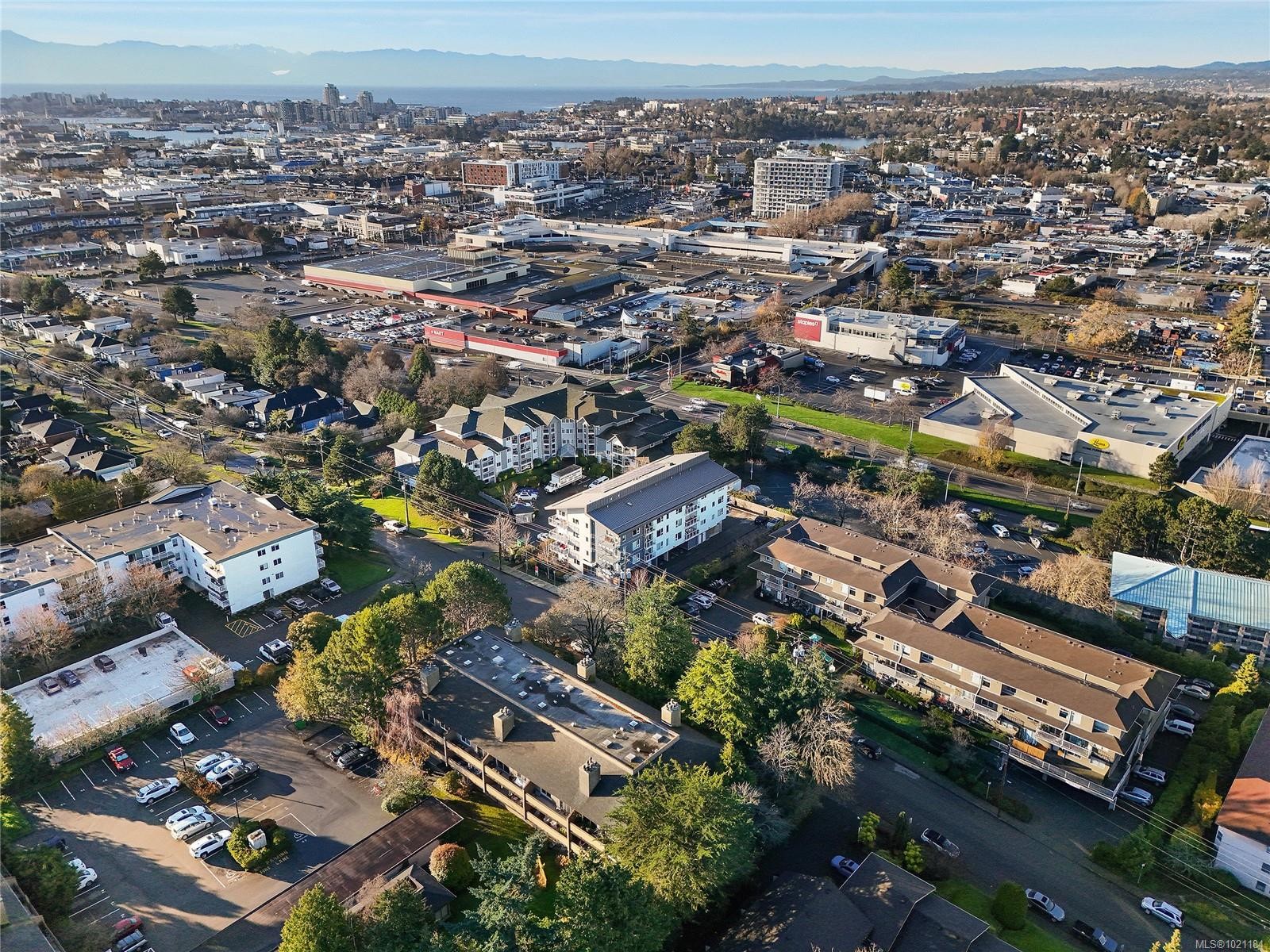 105-3215 Alder St, Saanich, BC - Outdoor With View
