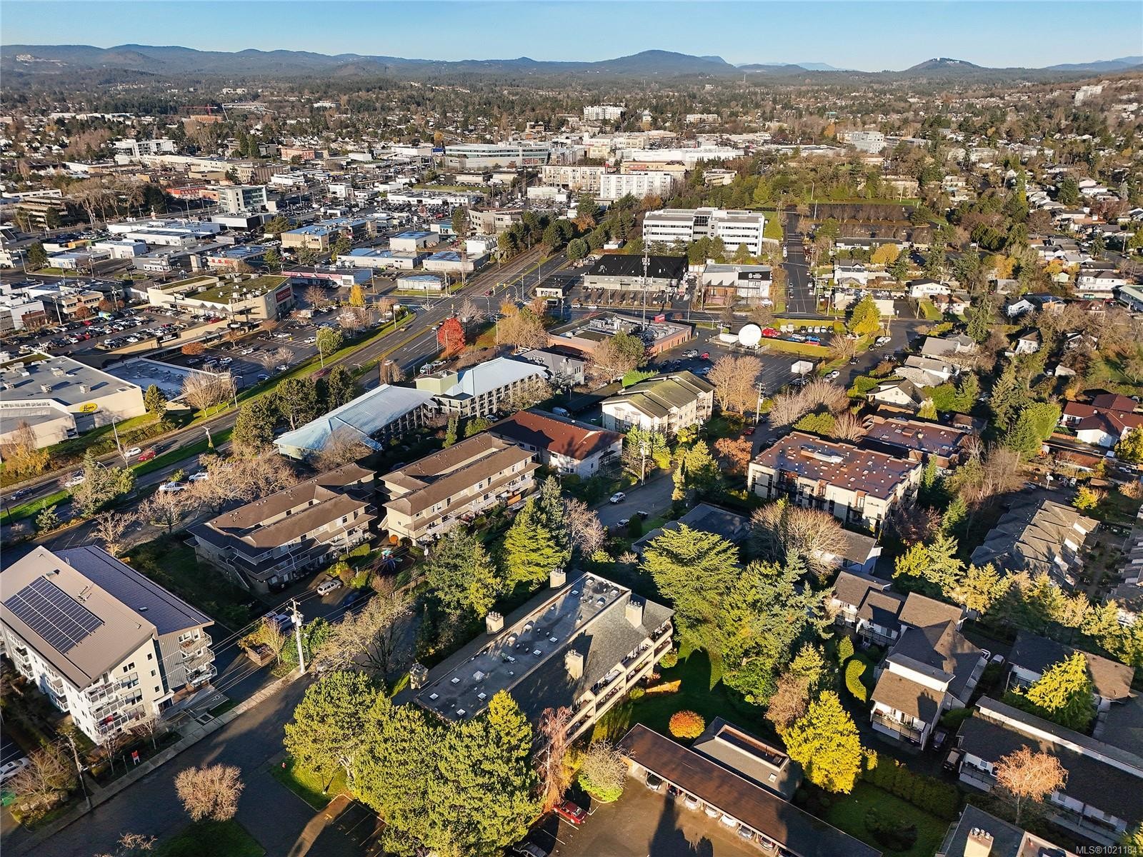 105-3215 Alder St, Saanich, BC - Outdoor With View