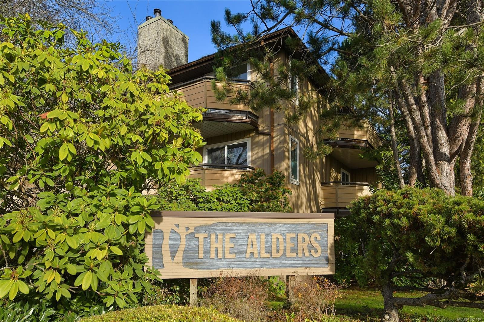 105-3215 Alder St, Saanich, BC - Outdoor