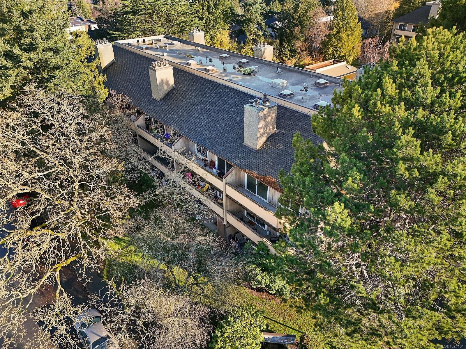 105-3215 Alder St, Saanich, BC - Outdoor