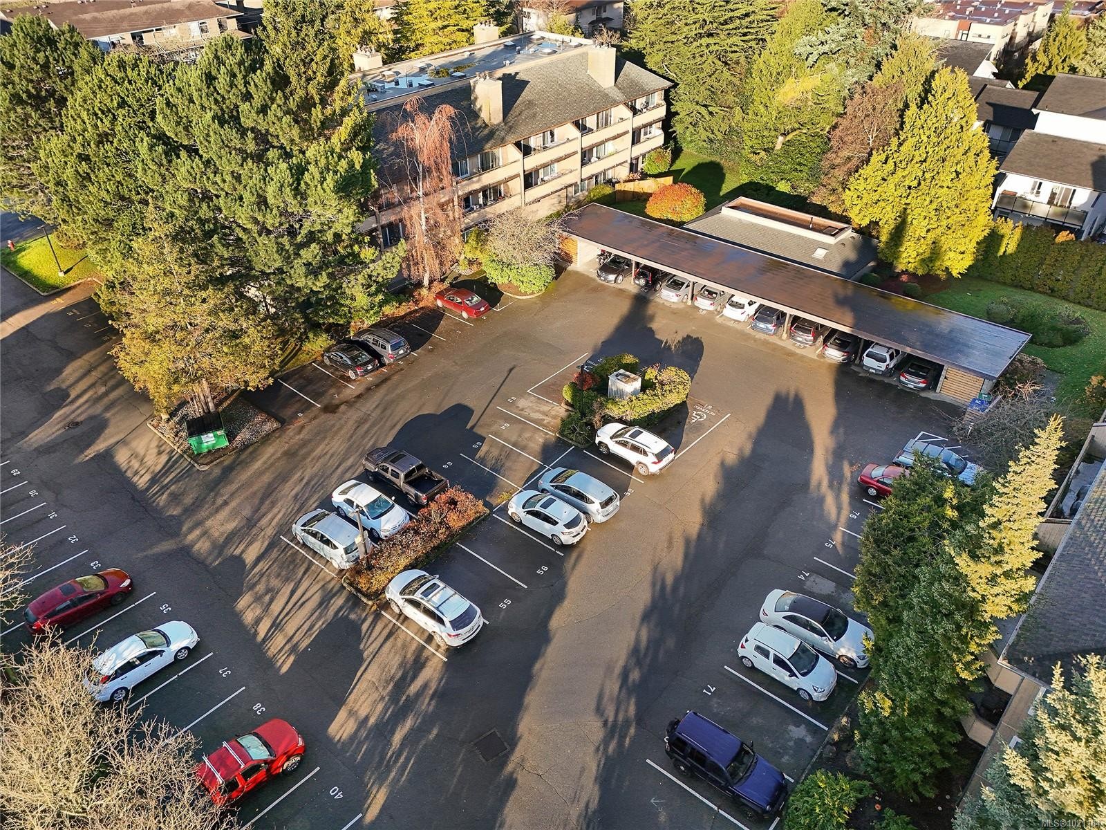 105-3215 Alder St, Saanich, BC -