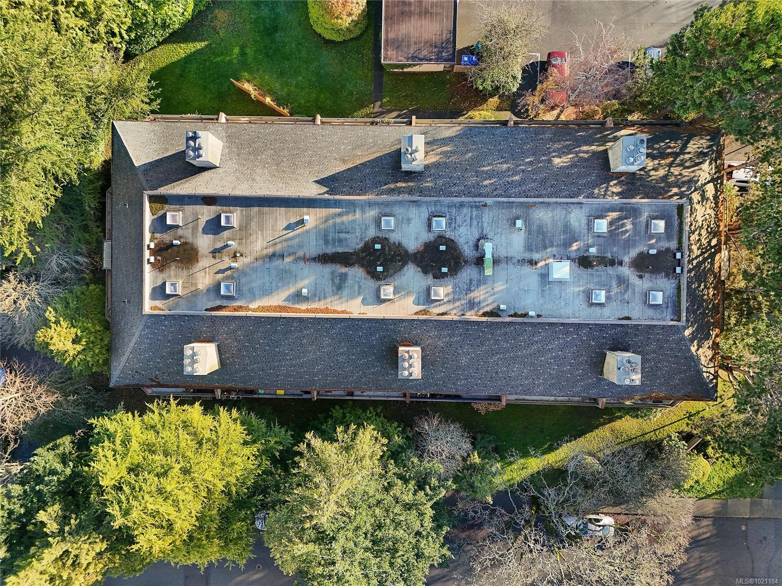 105-3215 Alder St, Saanich, BC - Outdoor With View