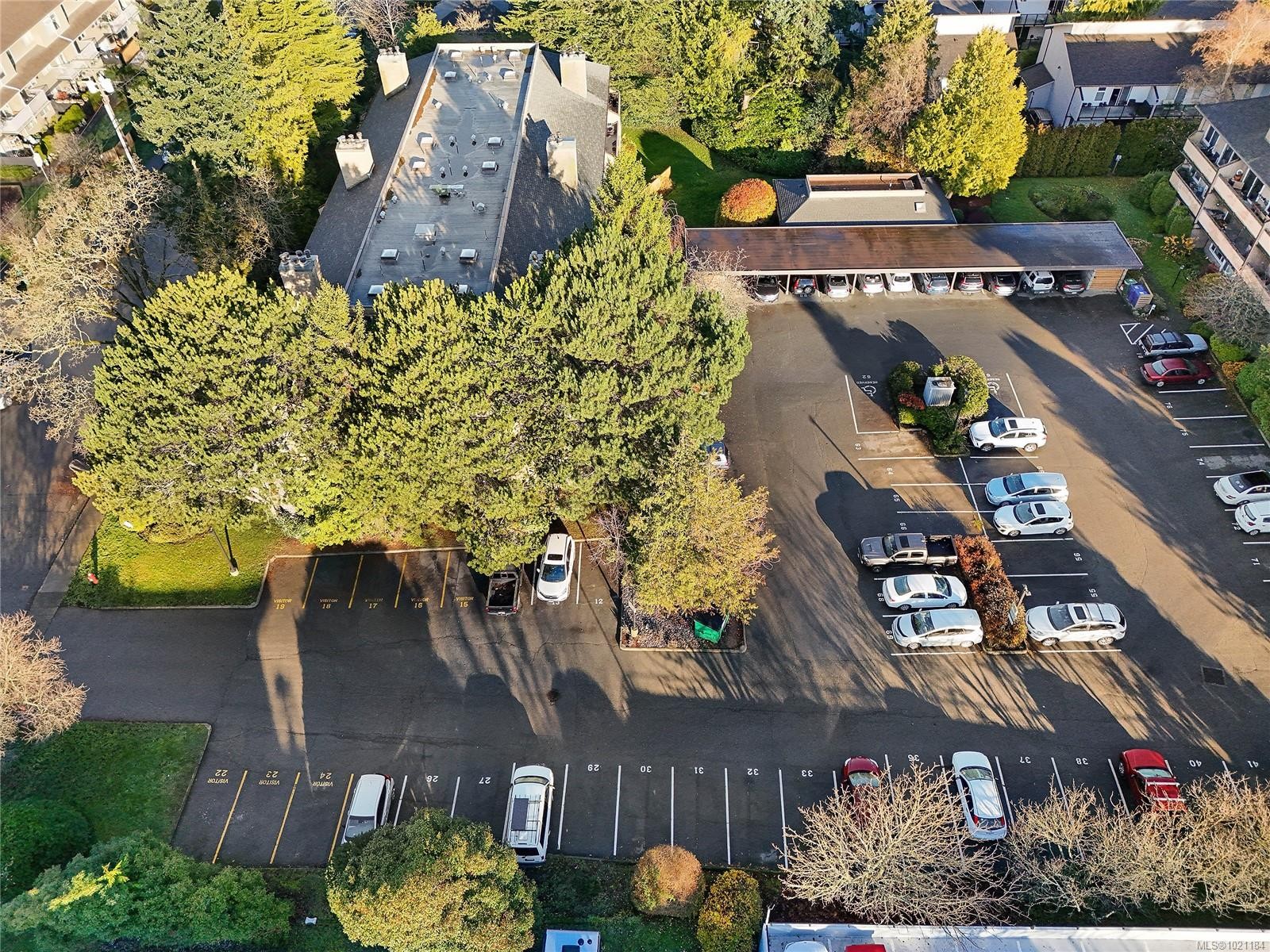 105-3215 Alder St, Saanich, BC - Outdoor With View