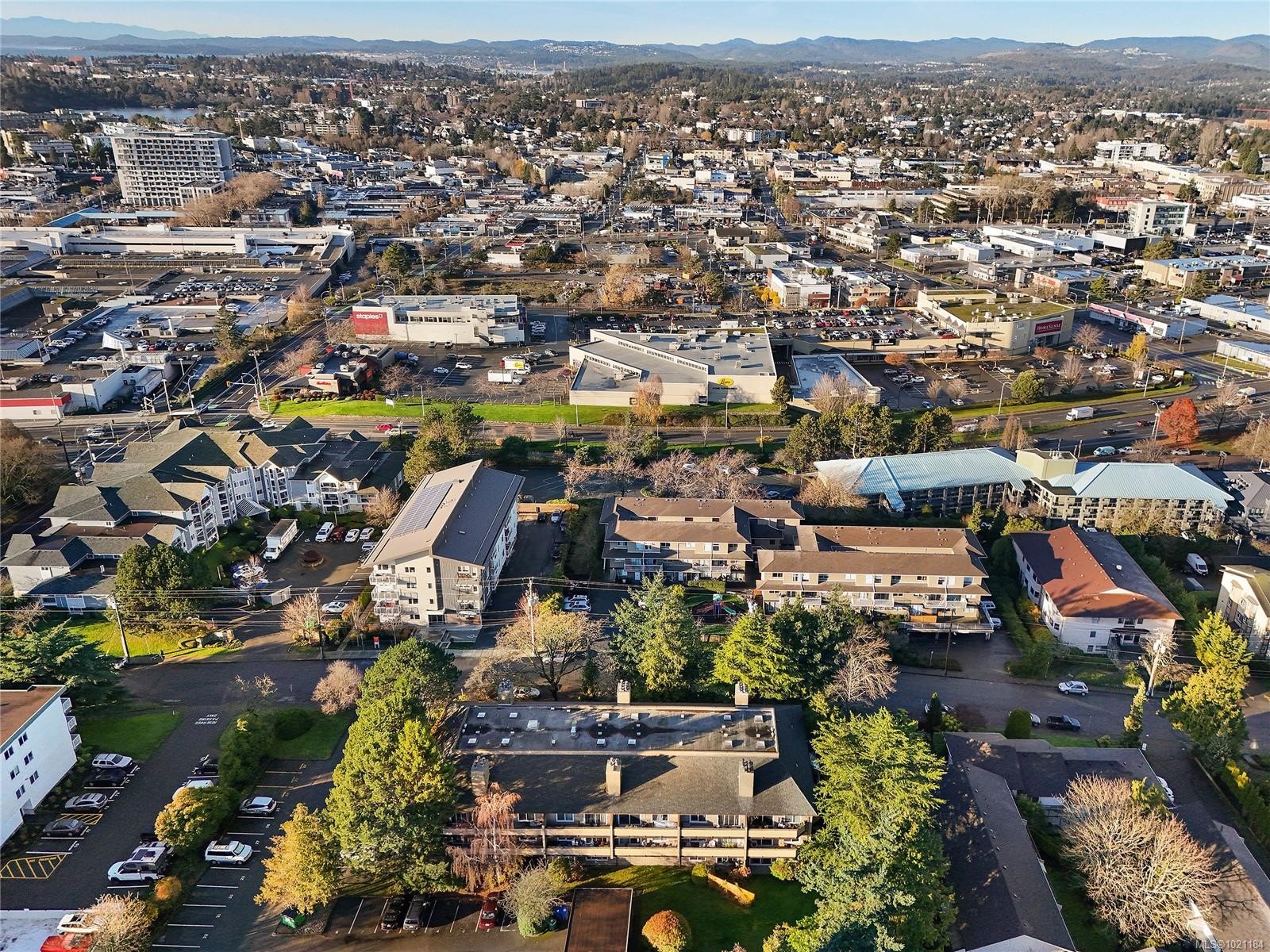 105-3215 Alder St, Saanich, BC - Outdoor With View