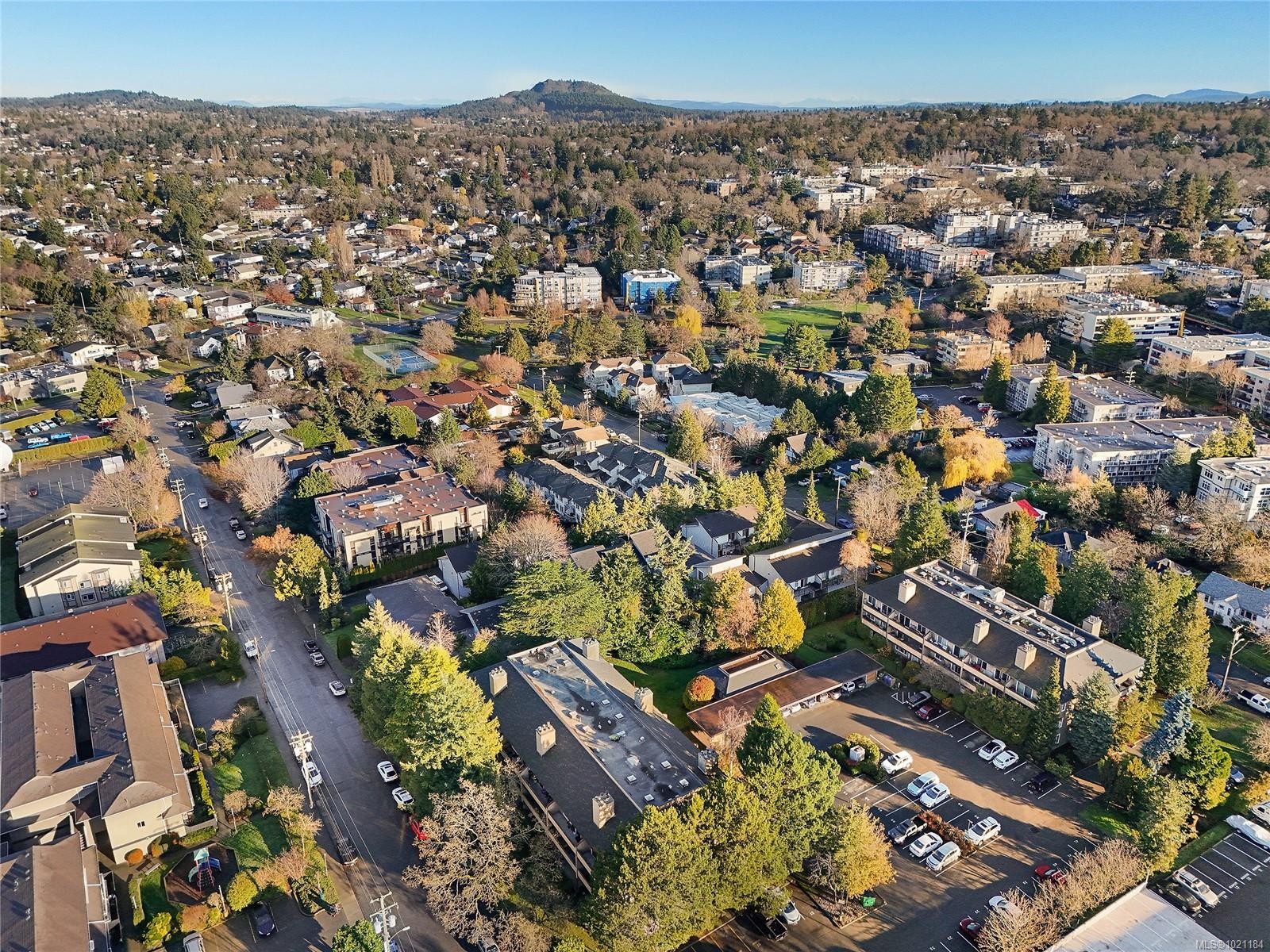 105-3215 Alder St, Saanich, BC - Outdoor With View