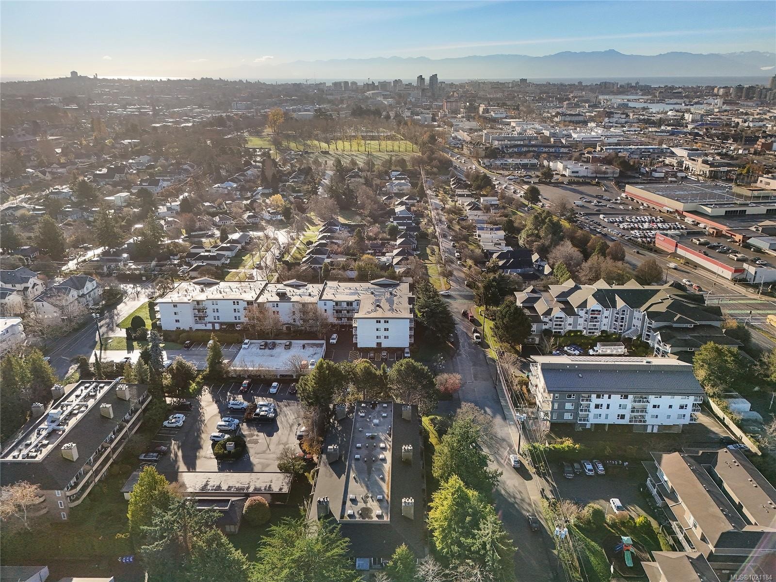 105-3215 Alder St, Saanich, BC - Outdoor With View