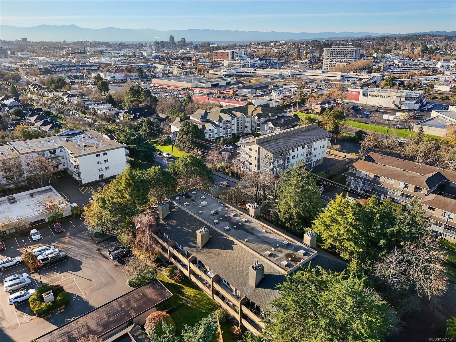 105-3215 Alder St, Saanich, BC - Outdoor With View