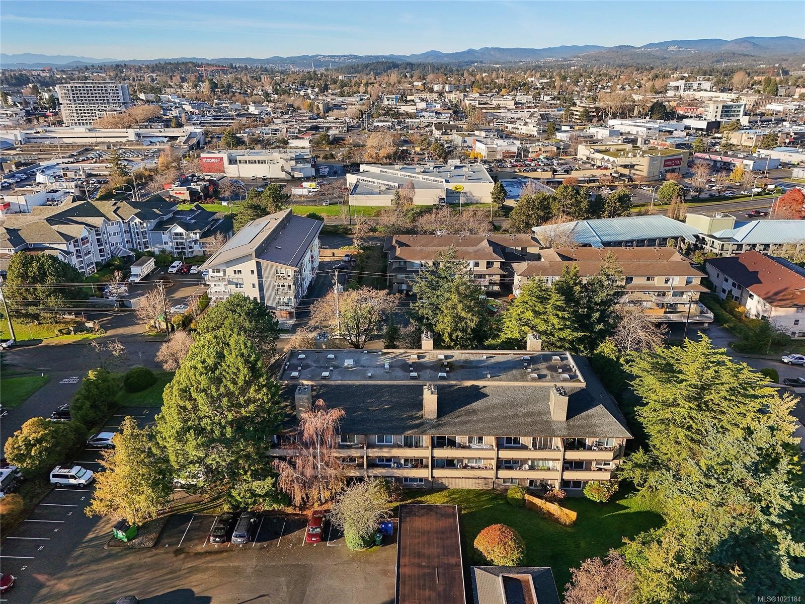 105-3215 Alder St, Saanich, BC - Outdoor With View