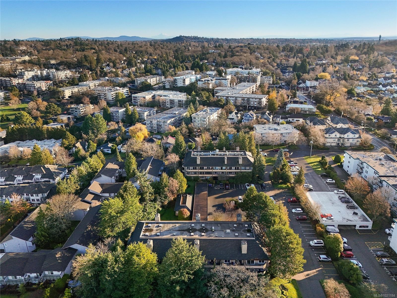 105-3215 Alder St, Saanich, BC - Outdoor With View