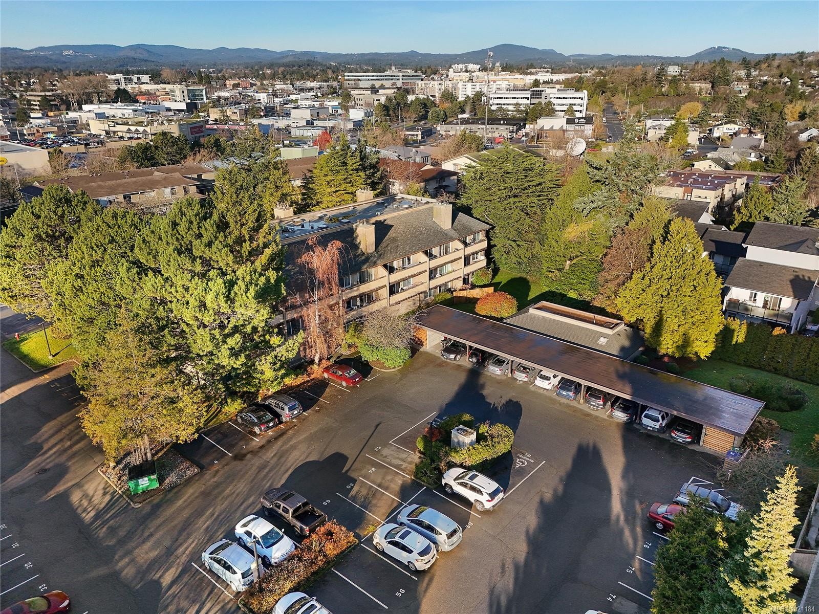 105-3215 Alder St, Saanich, BC - Outdoor With View