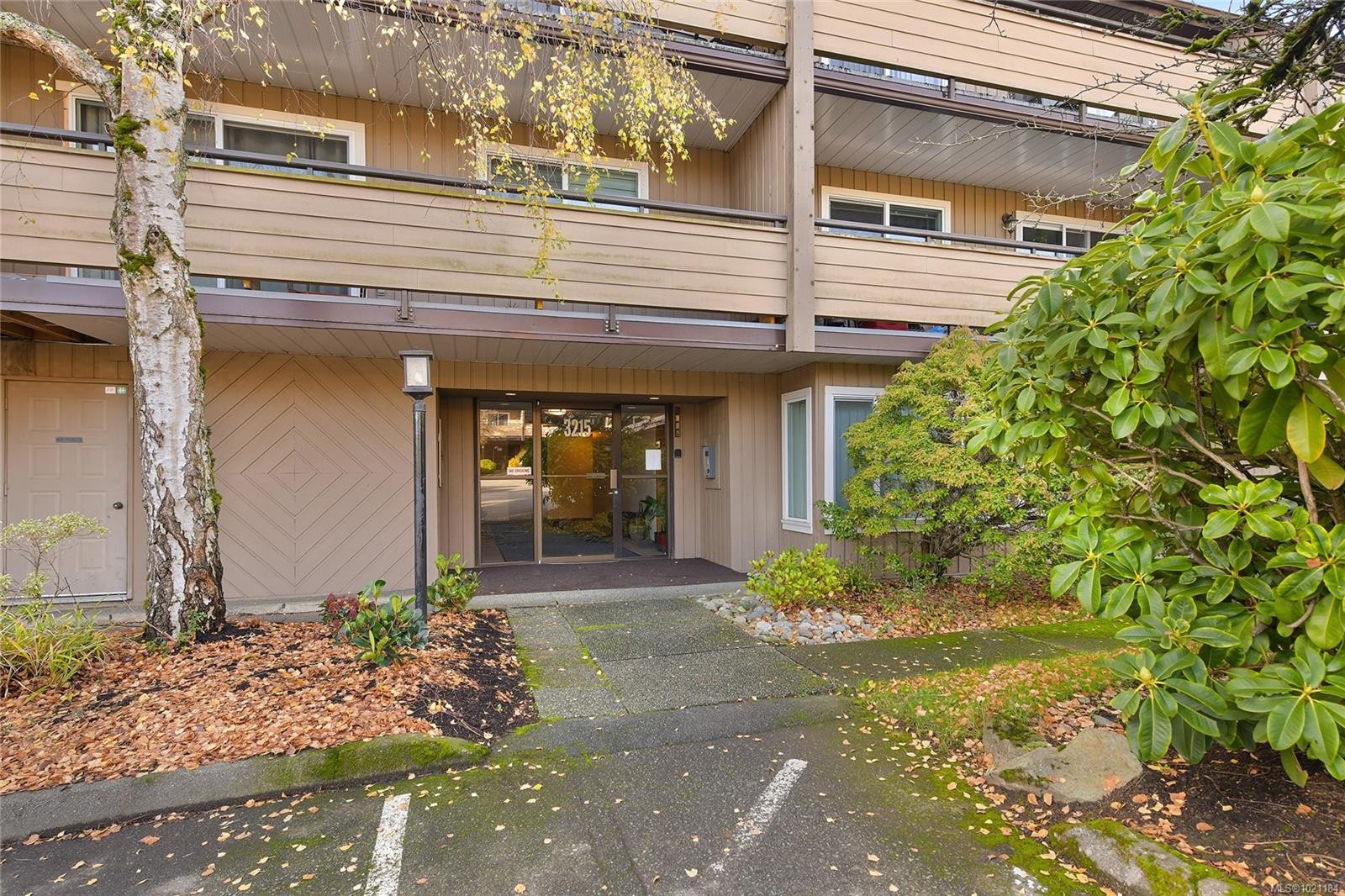 105-3215 Alder St, Saanich, BC - Outdoor