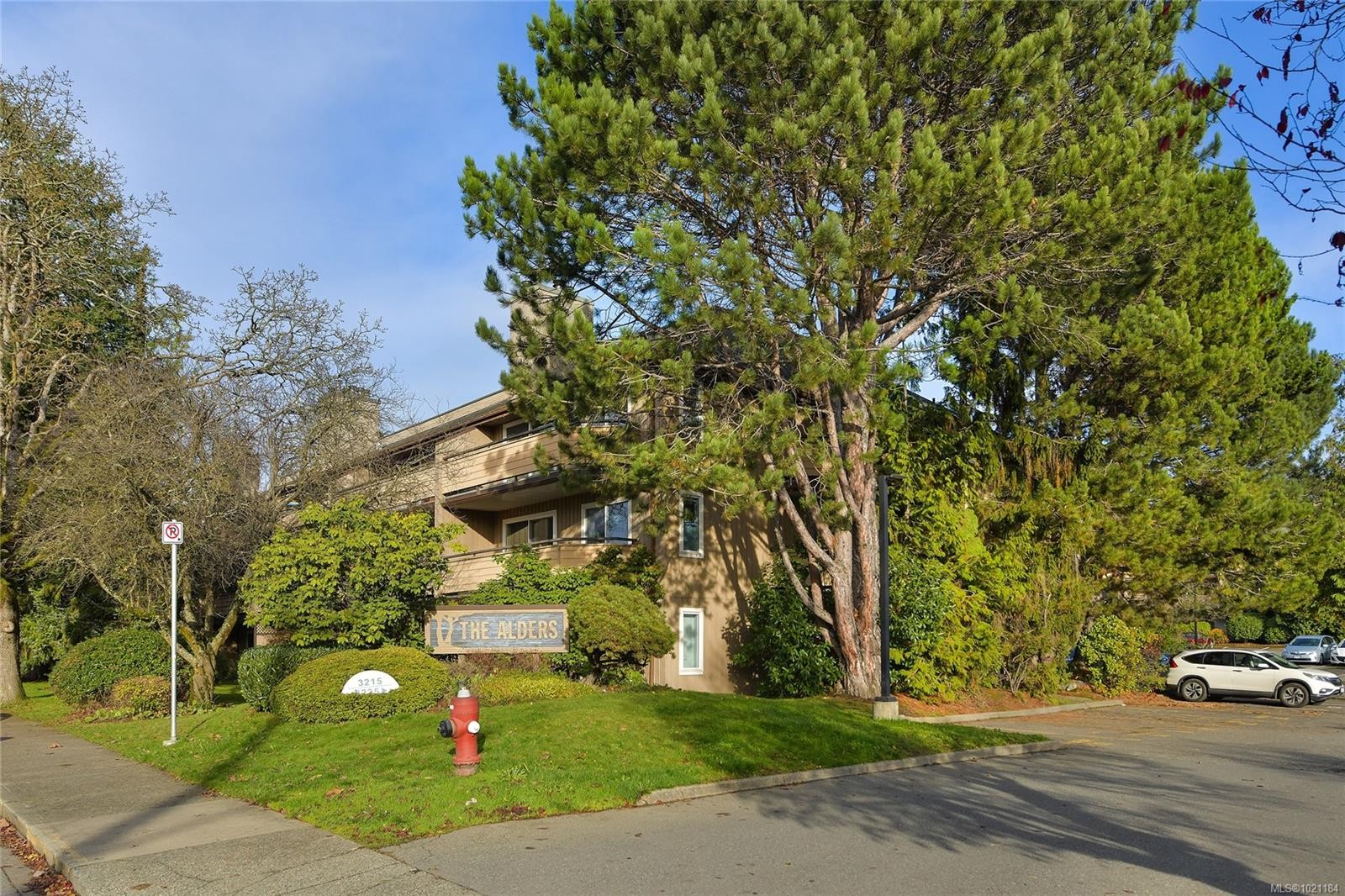 105-3215 Alder St, Saanich, BC - Outdoor