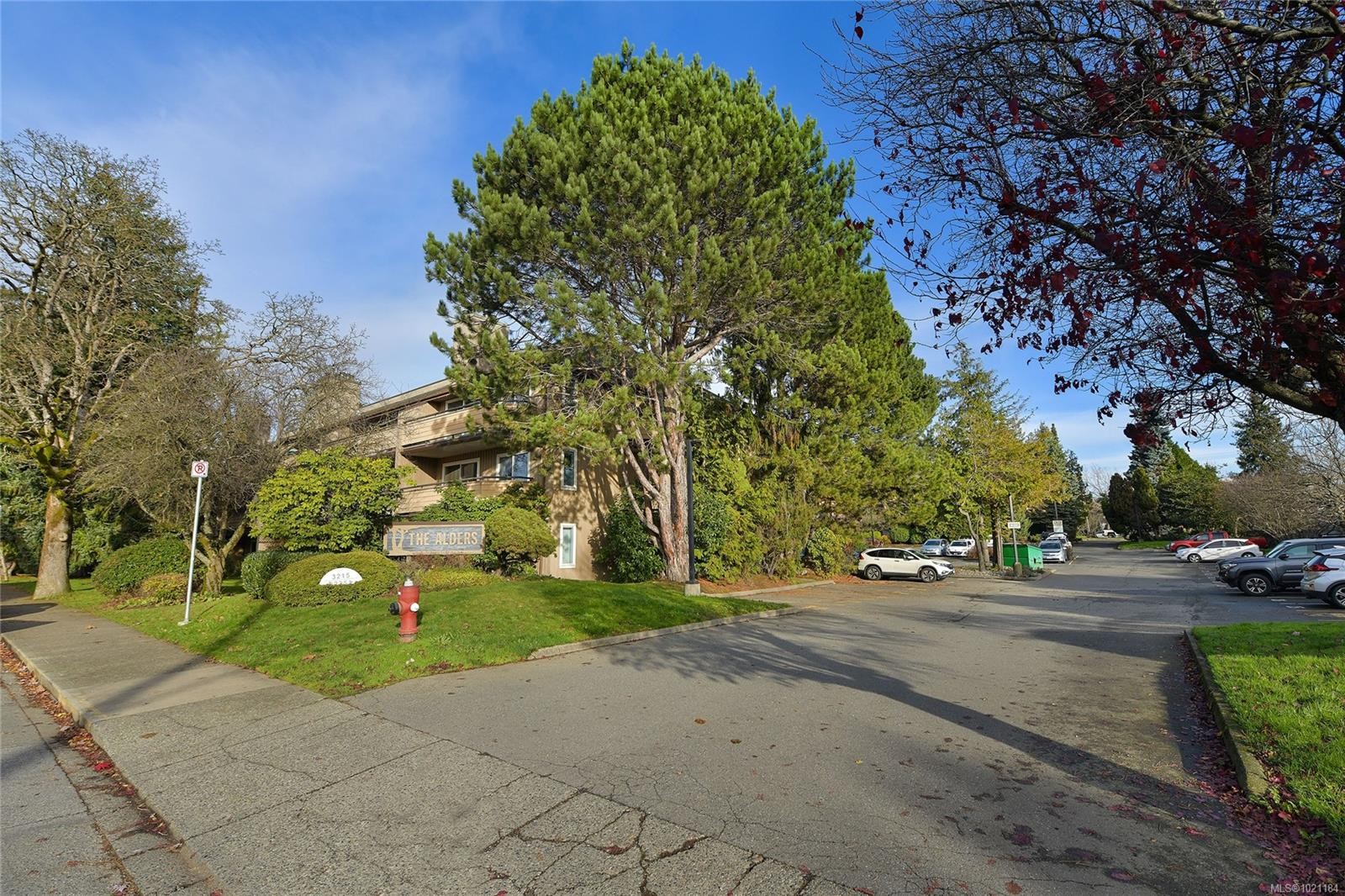 105-3215 Alder St, Saanich, BC - Outdoor With View