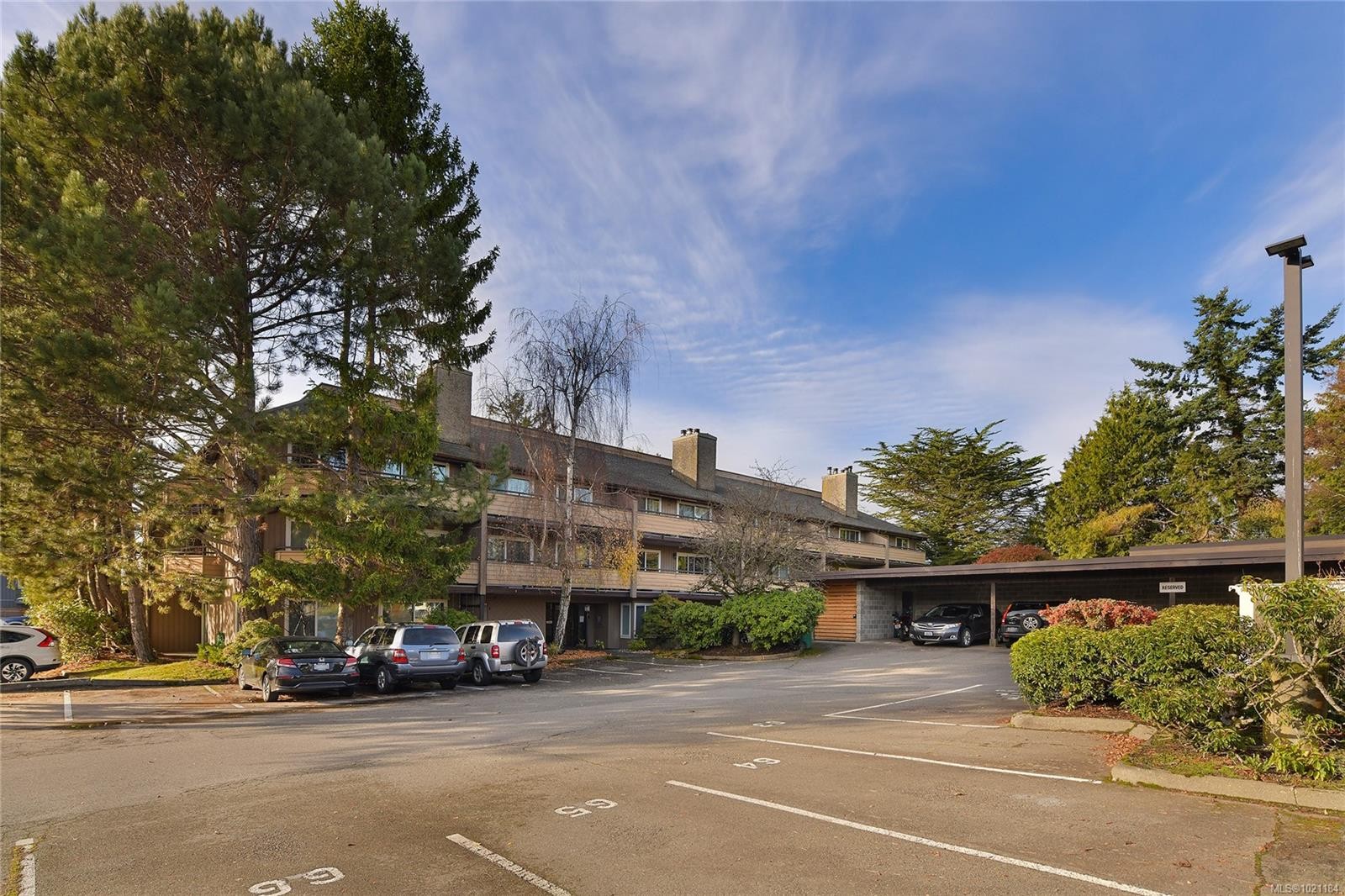 105-3215 Alder St, Saanich, BC - Outdoor