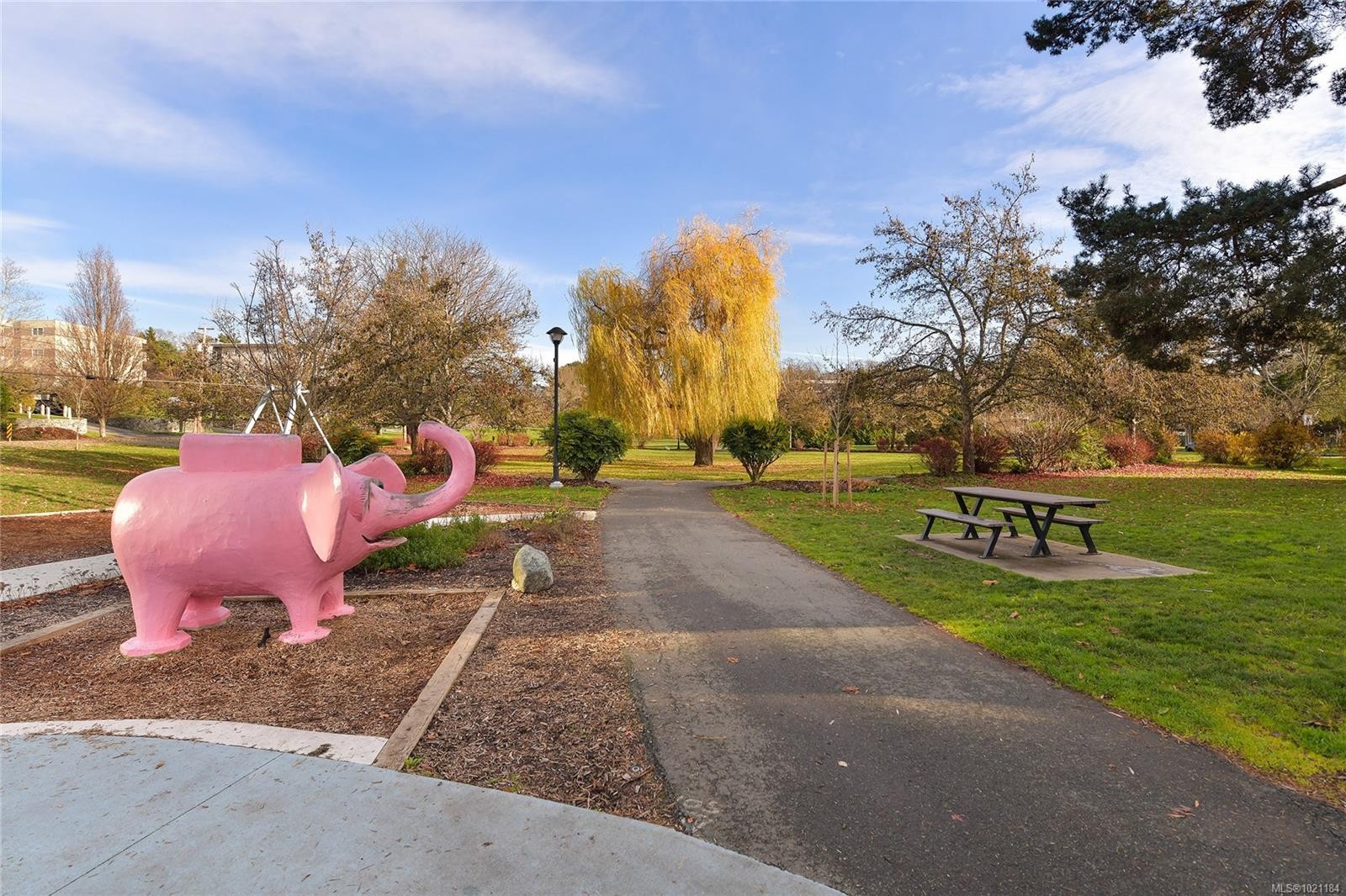 105-3215 Alder St, Saanich, BC - Outdoor With View