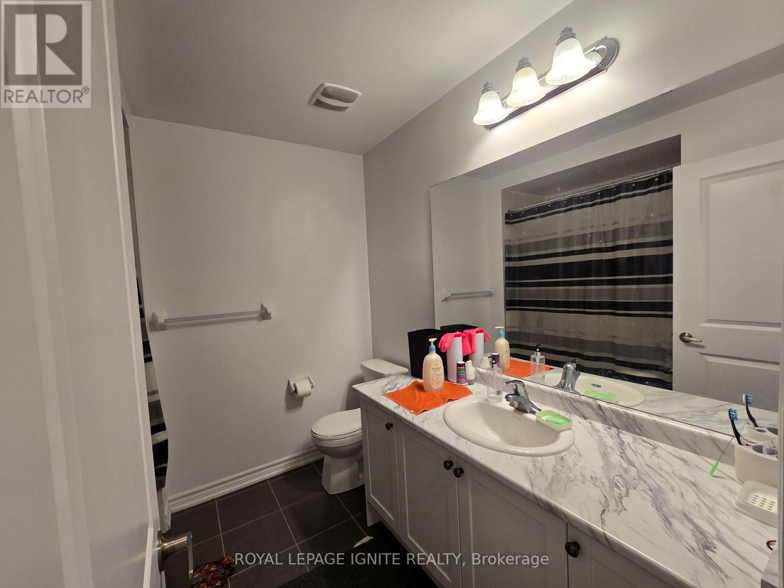387 Russell Street, Southgate, ON - Indoor Photo Showing Bathroom