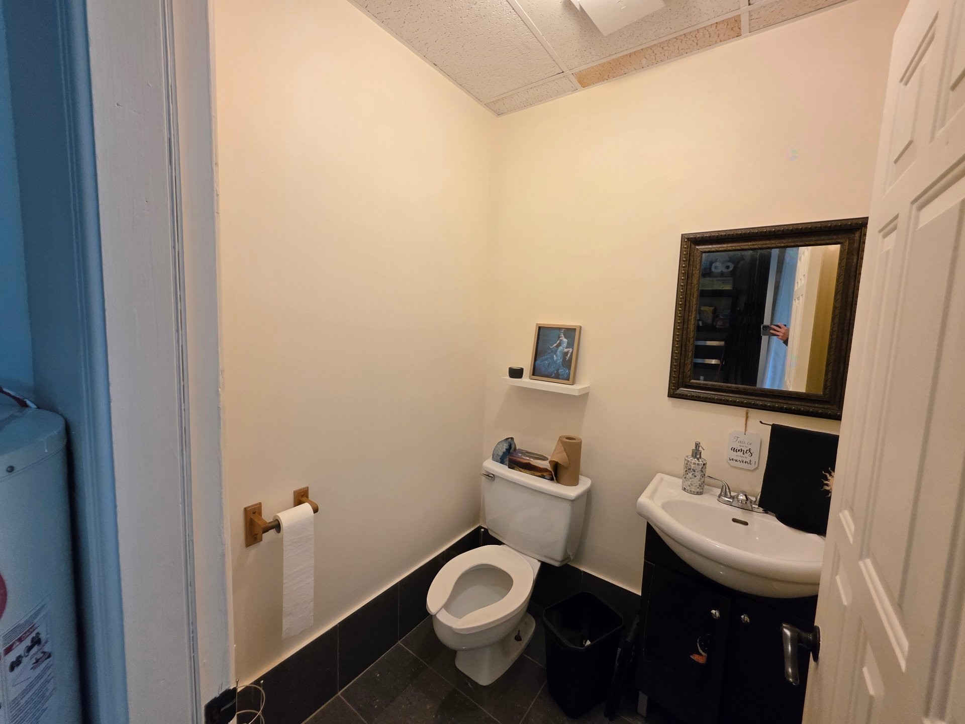 Salle d'eau - 875 Rue Chartrand, Terrebonne (Terrebonne), QC - Indoor Photo Showing Bathroom