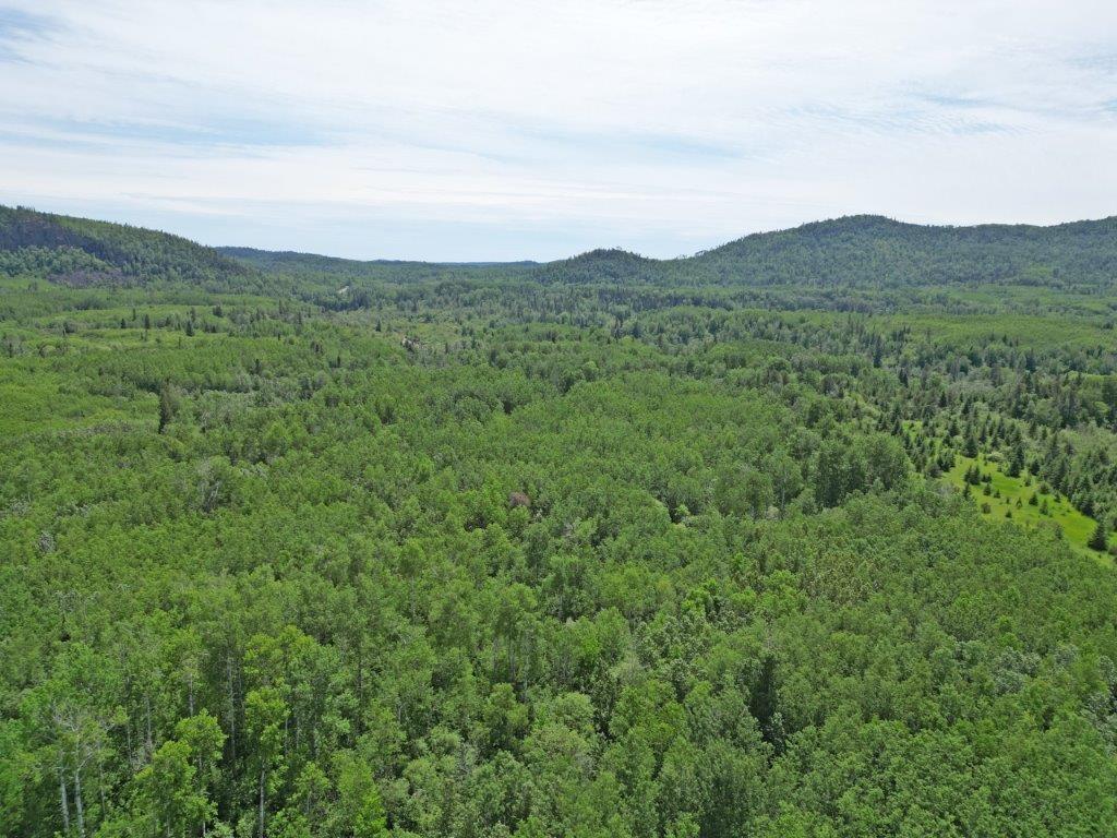 Part 3 Larson Road, Neebing, ON