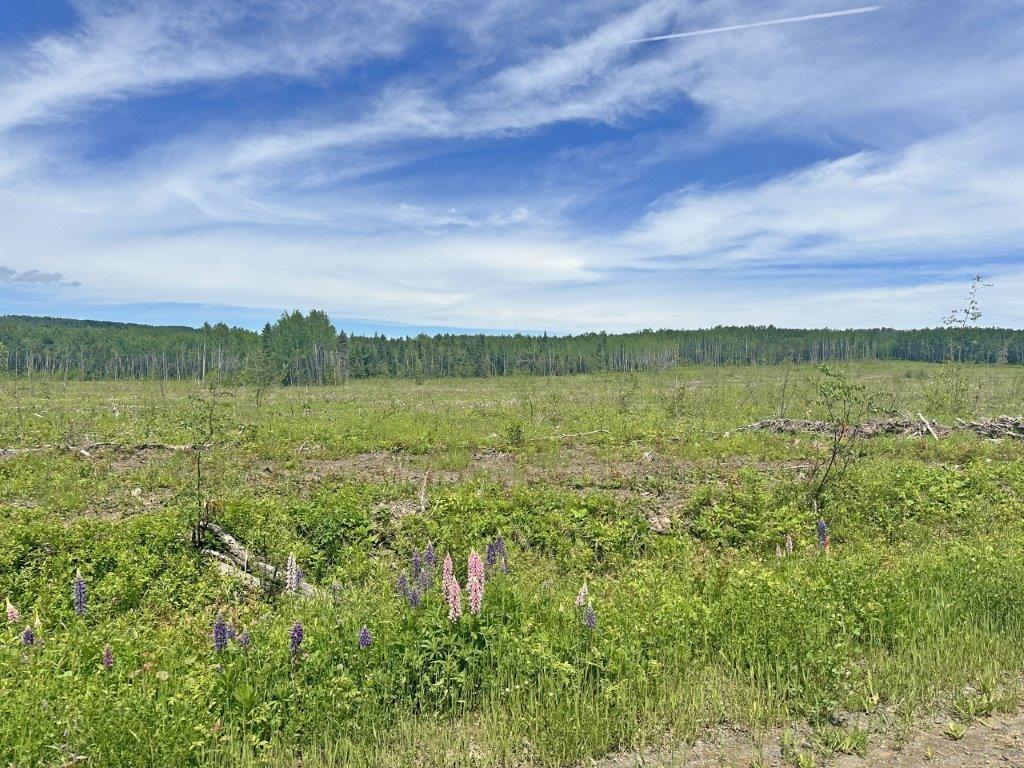 Part 3 Larson Road, Neebing, ON