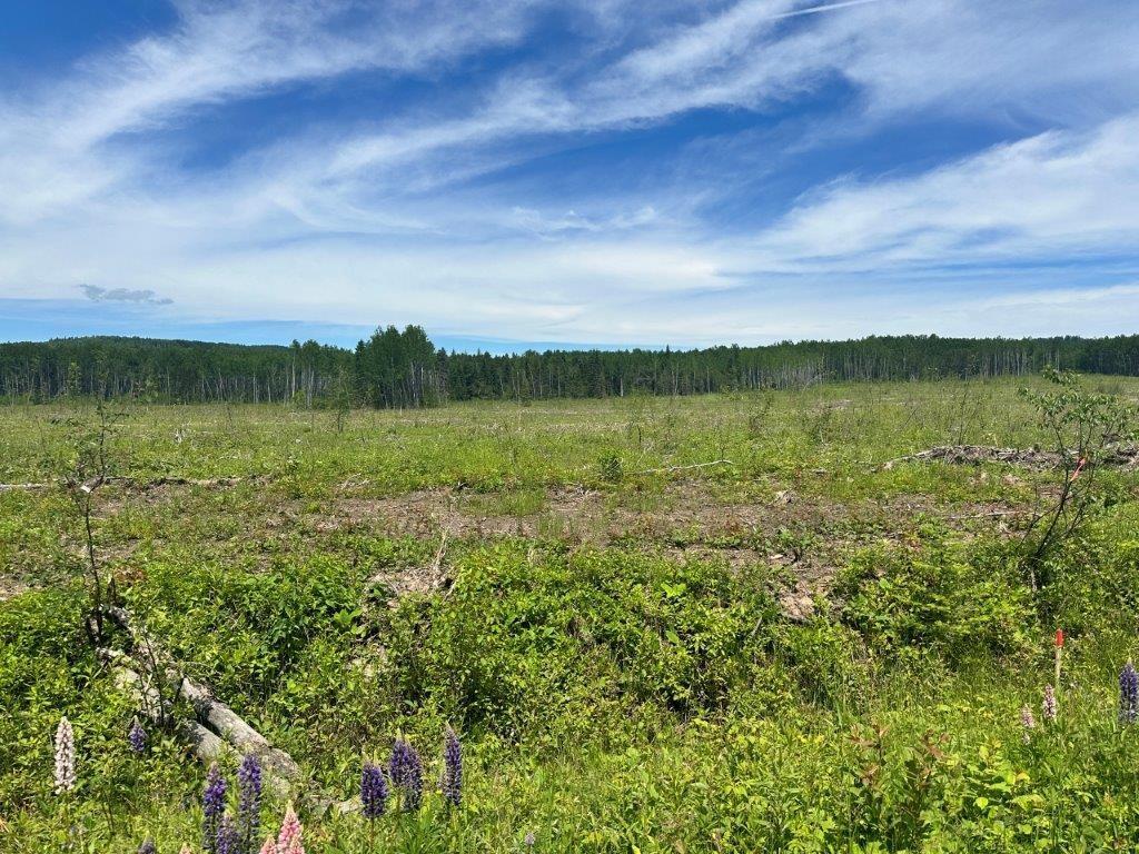 Part 3 Larson Road, Neebing, ON