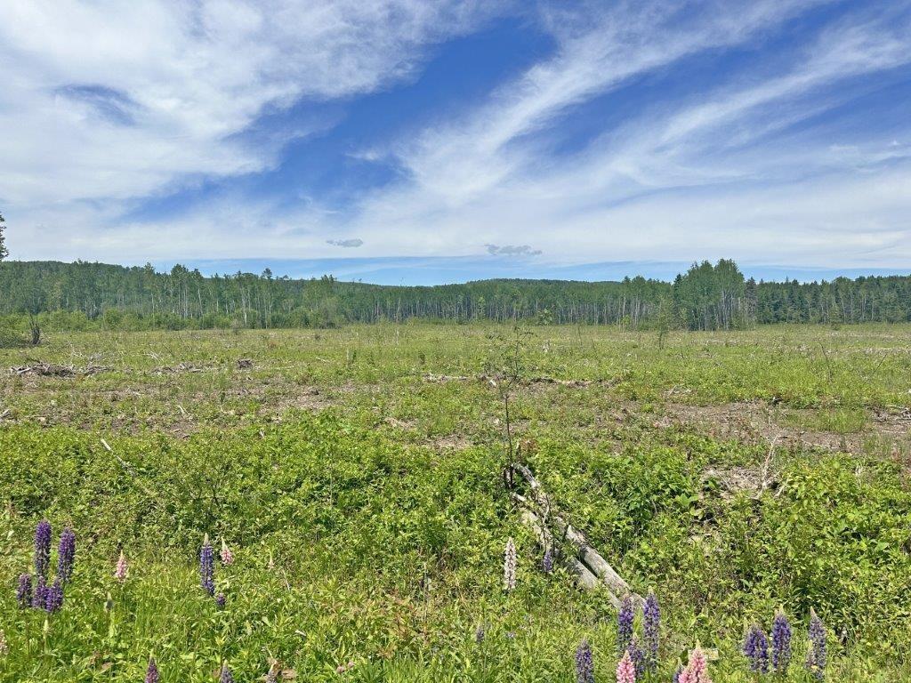 Part 3 Larson Road, Neebing, ON