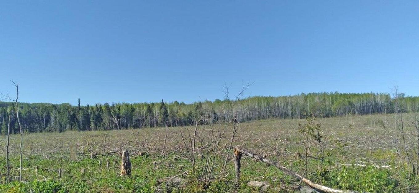 Part 3 Larson Road, Neebing, ON