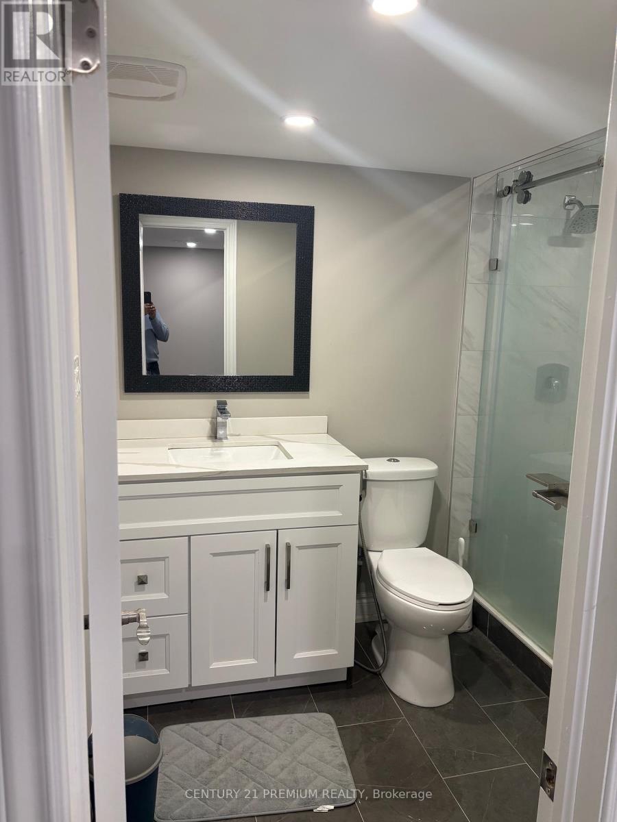 Bsmt 1A - 265 Chilver Heights, Milton, ON - Indoor Photo Showing Bathroom