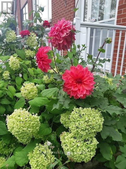 184 Edmonton Drive, Toronto, ON - Outdoor