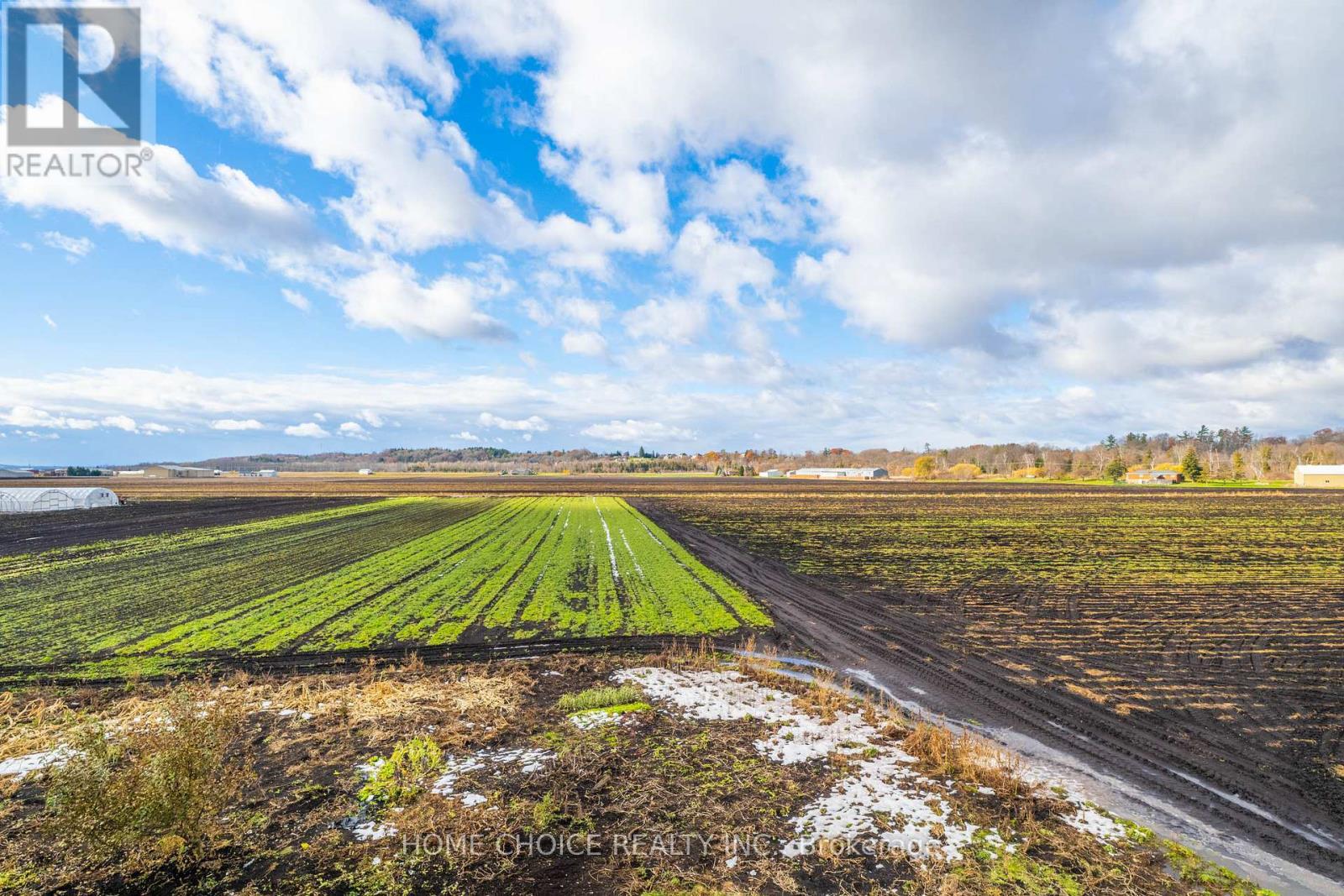 144 Fraser Street, Bradford West Gwillimbury, ON - Outdoor With View