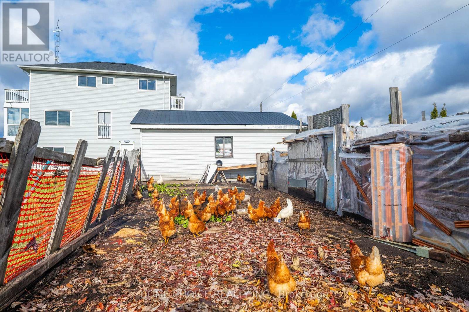 144 Fraser Street, Bradford West Gwillimbury, ON - Outdoor