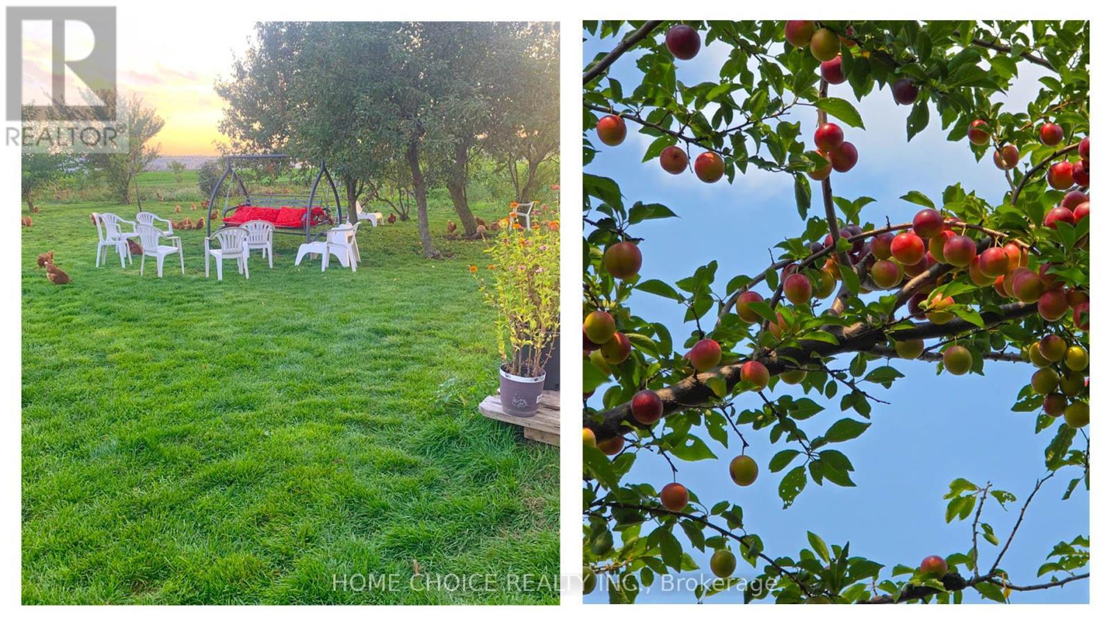 144 Fraser Street, Bradford West Gwillimbury, ON - Outdoor