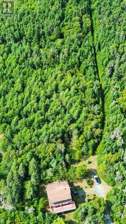 582-594 Indian Meal Line, Torbay, NL