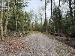 0 BEAR CAVE ROAD Muskoka Lakes, ON P0C 1J0