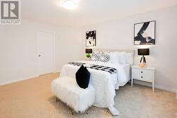 Brand New Carpets ( Dec 2025) -