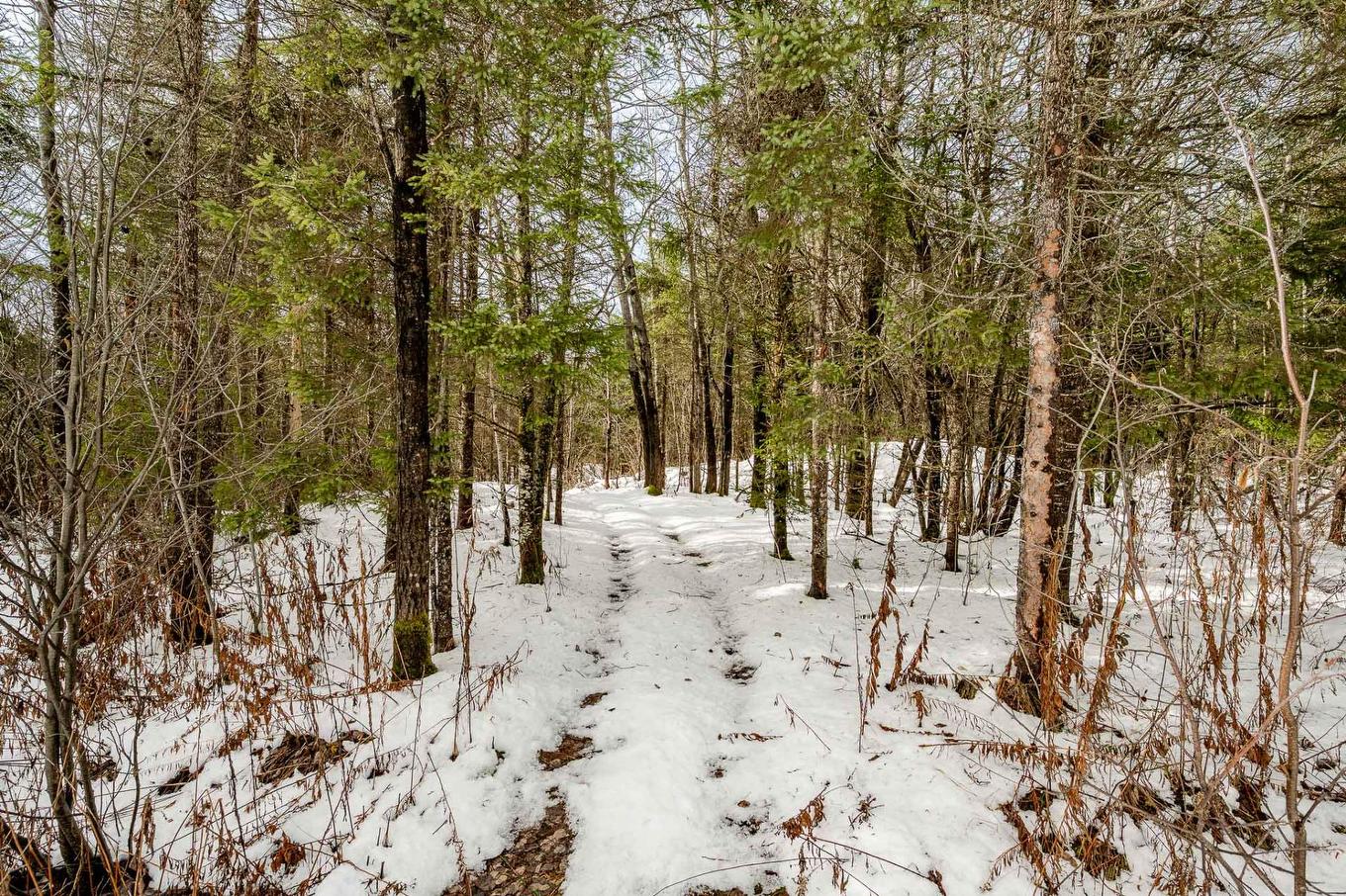 Backyard - 15 Ch. Armand-Martineau, Saint-Herménégilde, QC - Outdoor With View