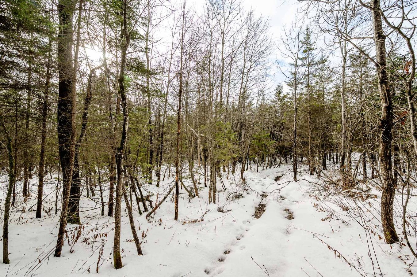 Backyard - 15 Ch. Armand-Martineau, Saint-Herménégilde, QC - Outdoor With View