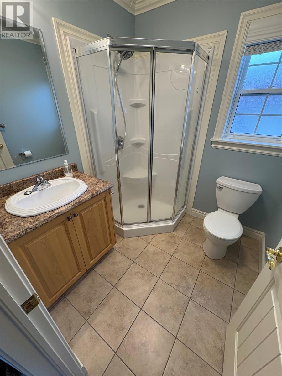 50 Thomas Street, Grand Falls Windsor, NL - Indoor Photo Showing Bathroom