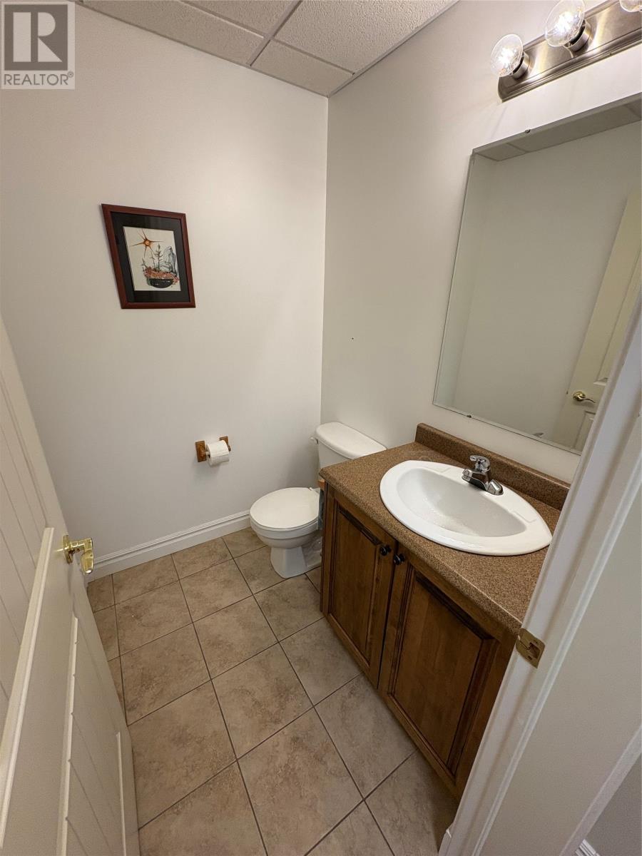 50 Thomas Street, Grand Falls Windsor, NL - Indoor Photo Showing Bathroom