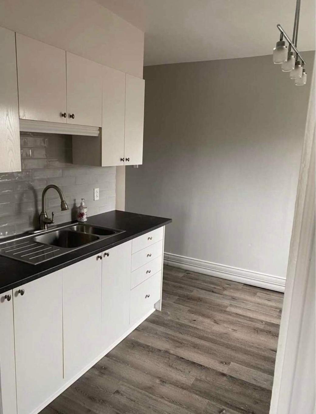 Kitchen - 3436 - 3440 Rue Mance, Longueuil (Saint-Hubert), QC - Indoor Photo Showing Kitchen With Double Sink