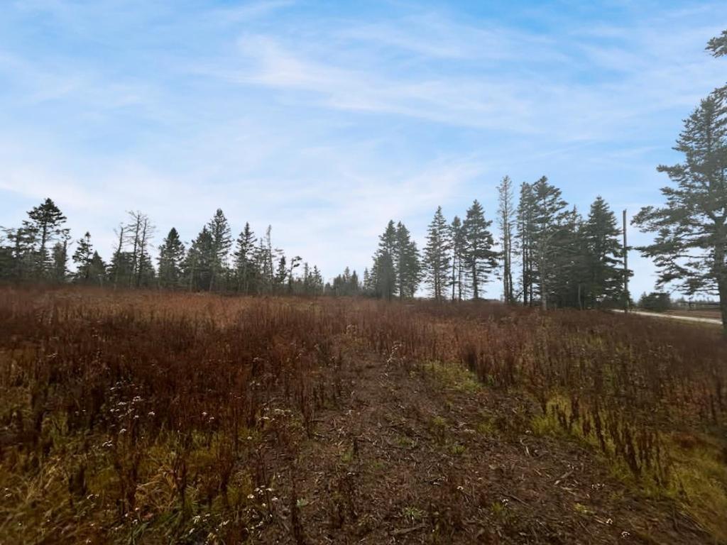 Lot Route 336, Cable Head West, PE