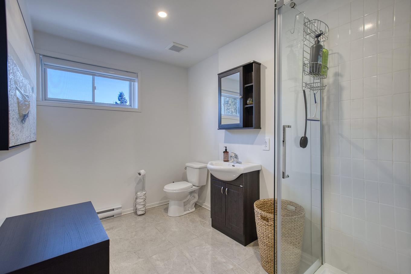 Logement - 649 - 649A Rue Beauregard, Sainte-Agathe-Des-Monts, QC - Indoor Photo Showing Bathroom