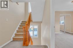 Staircase with carpet flooring, plenty of natural light, and a towering ceiling -
