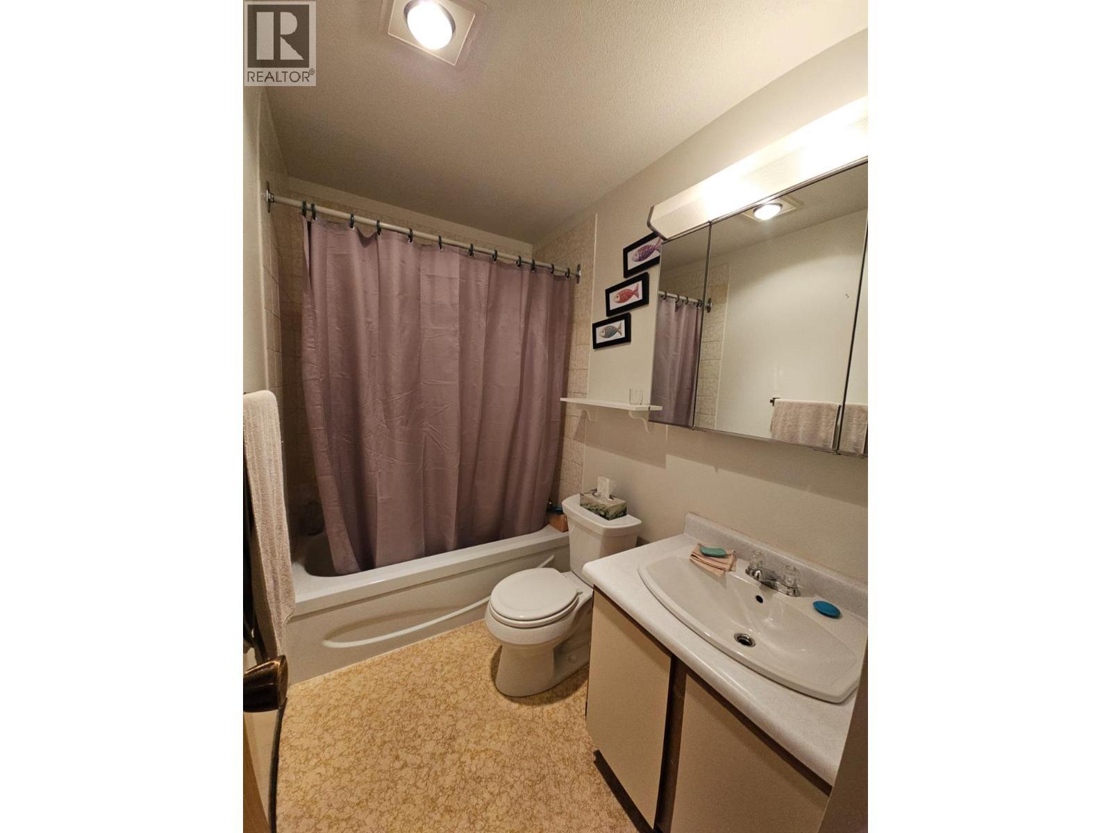 307-195 Chamberlain Crescent, Tumbler Ridge, BC - Indoor Photo Showing Bathroom