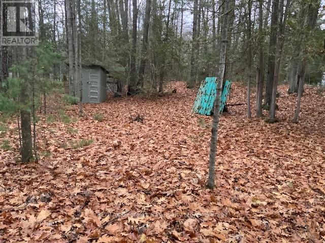 46 Oakwood Avenue Nw, Tiny, ON