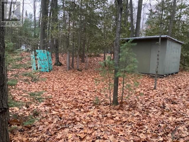 46 Oakwood Avenue Nw, Tiny, ON